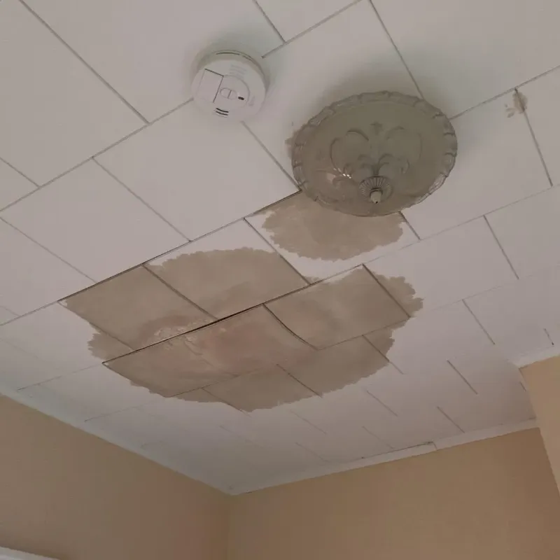 Ceiling Water Damage Repair in Versailles, OH