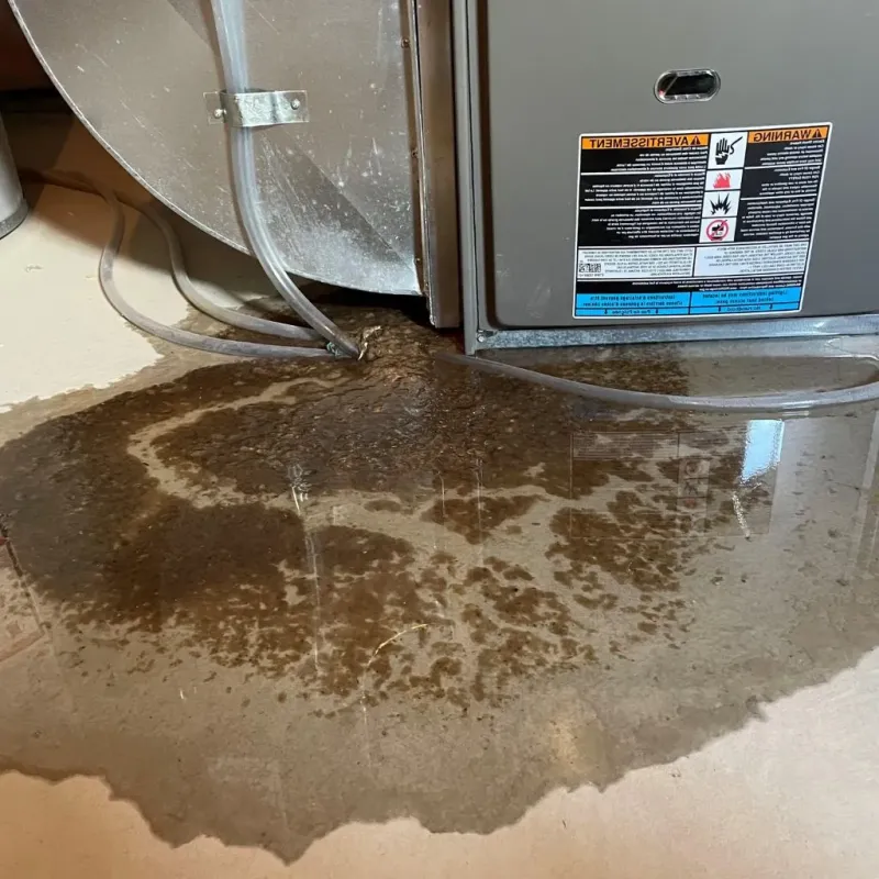 Pipe Burst and Leak Restoration in Versailles, OH