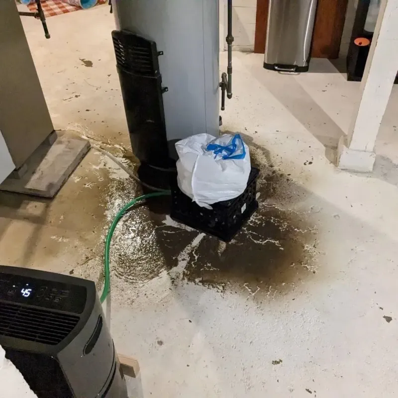 Sewage Backup Cleanup Service in Versailles, OH